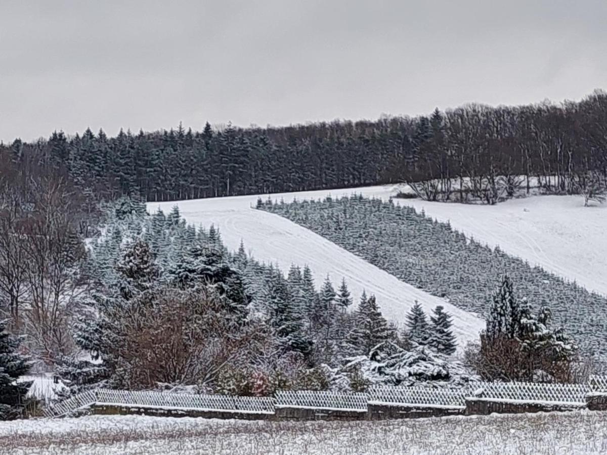 Wilfersdorf  Pension Welserhof المظهر الخارجي الصورة