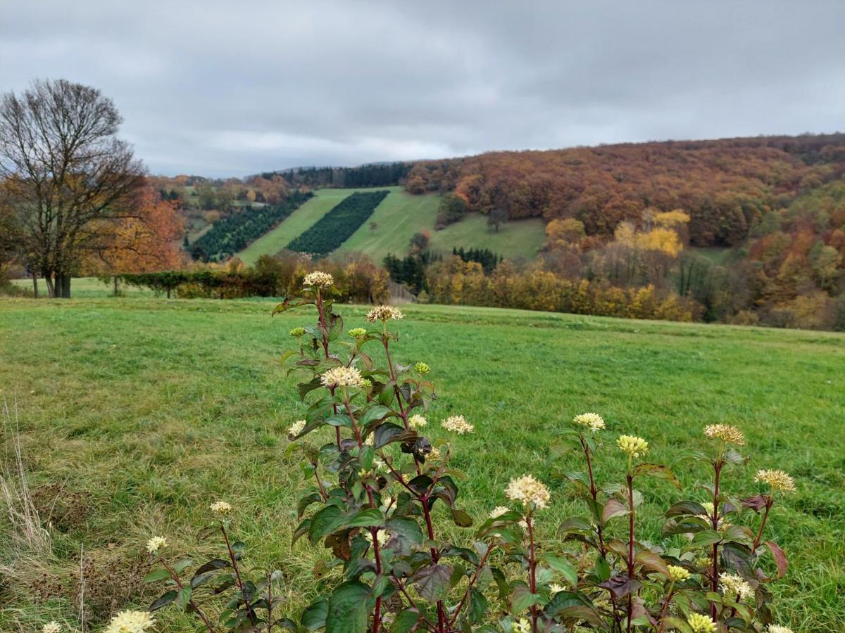 Wilfersdorf  Pension Welserhof المظهر الخارجي الصورة