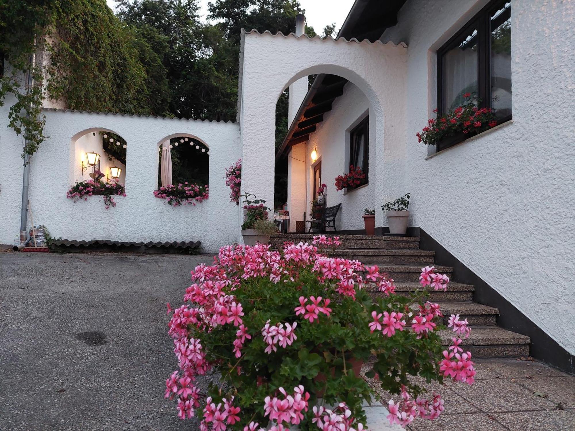 Wilfersdorf  Pension Welserhof المظهر الخارجي الصورة