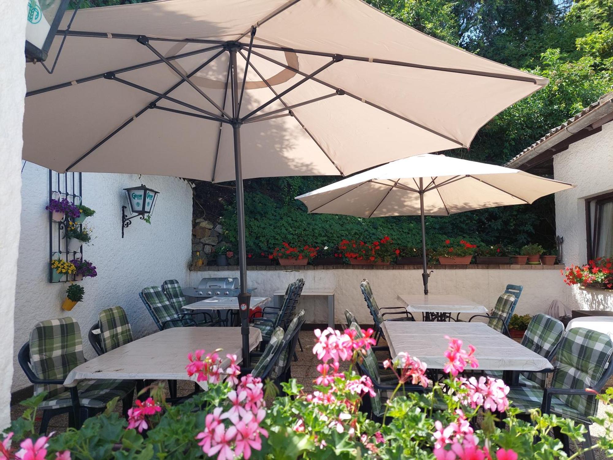 Wilfersdorf  Pension Welserhof المظهر الخارجي الصورة